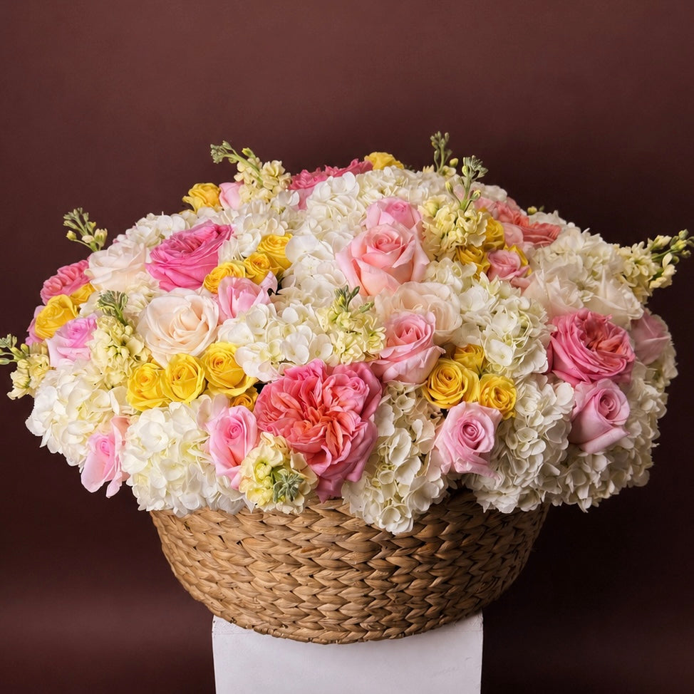 Sunlit Cloud Basket