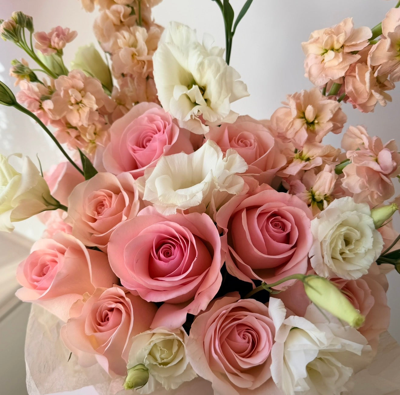 The Pink Moment