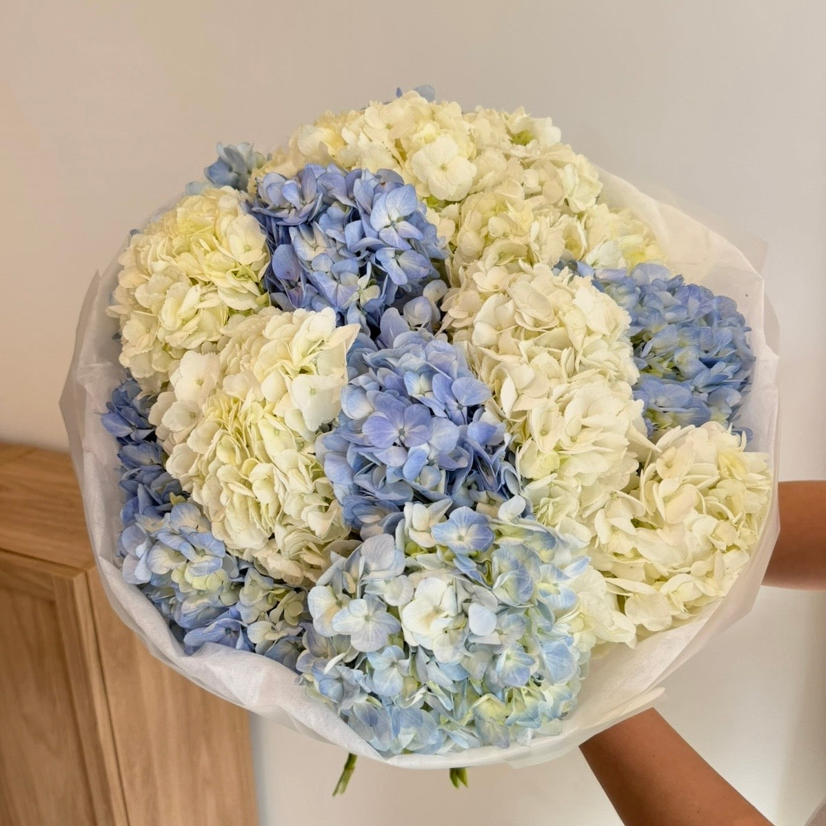 The Hydrangea Dream