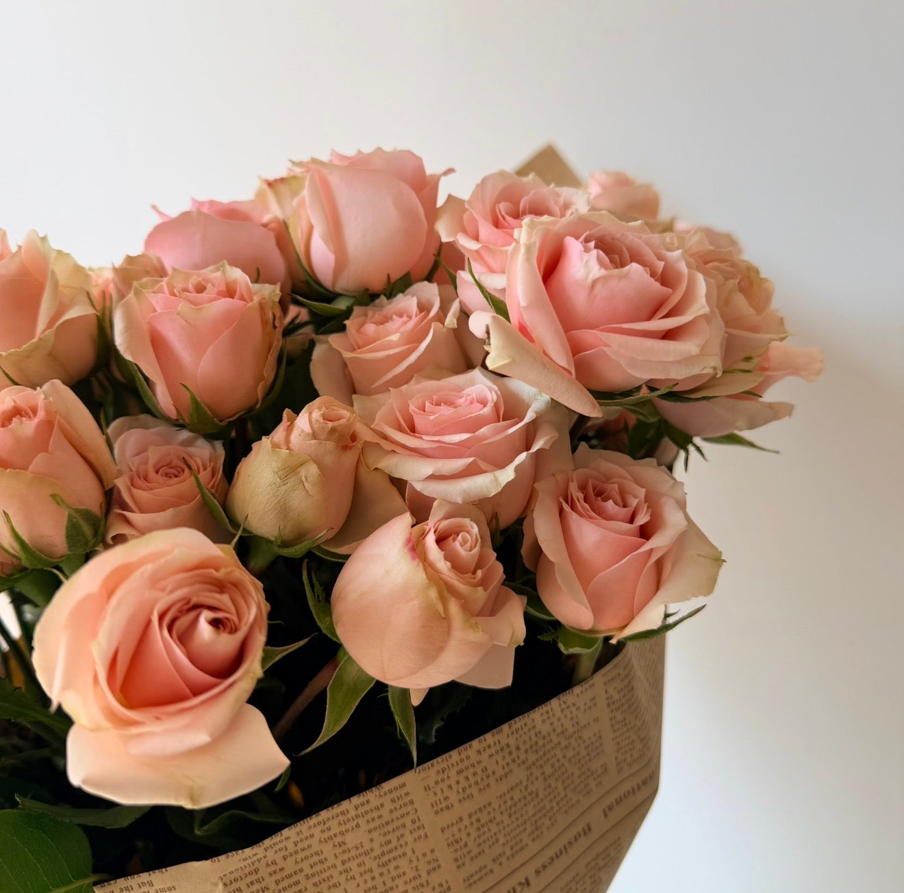 The Blush Note