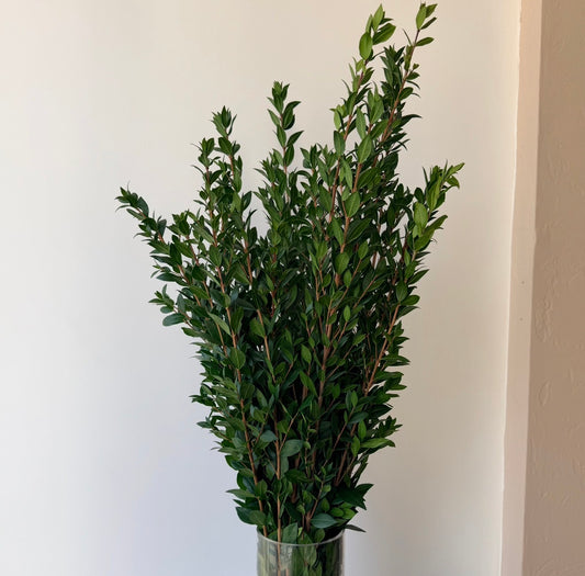 Shabbat Myrtle — Fresh Weekly Delivery