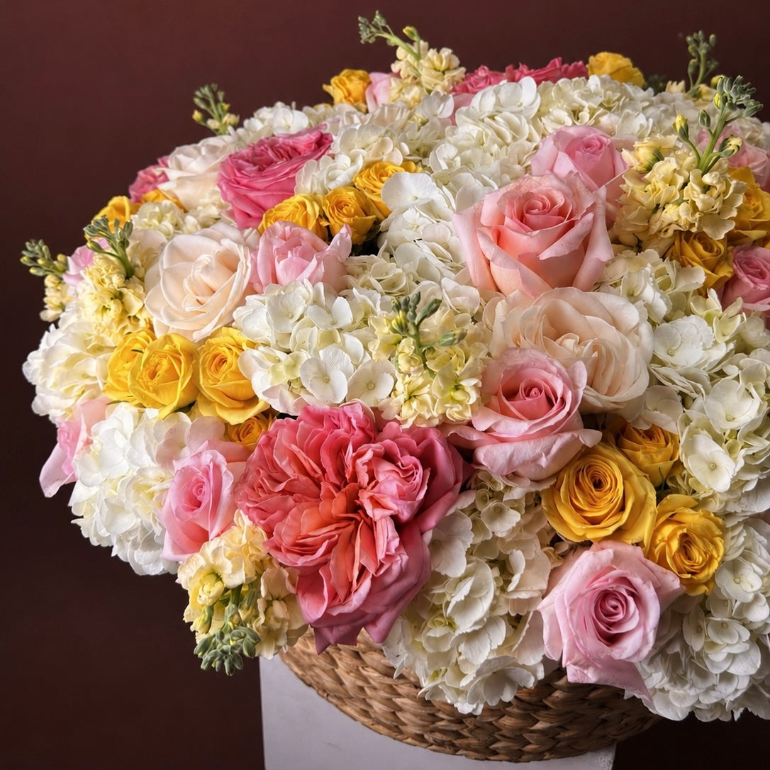 Sunlit Cloud Basket